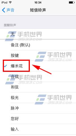 iphone5s短信铃声怎么设置4