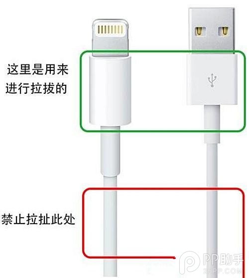 五招教你保养iPhone原装数据线2