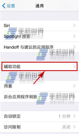 iphone5s黑白屏设置方法3