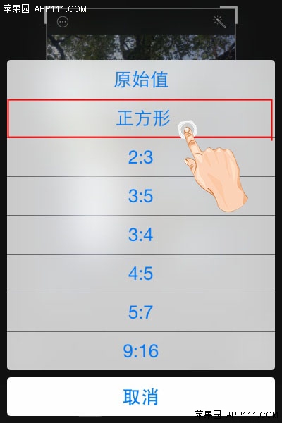 iPhone将照片设成正方形技巧4