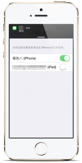 让一个iPhone接收两个电话卡信息5