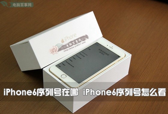 iPhone6序列号怎么查看？1