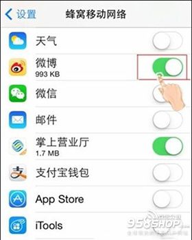 iphone如何禁止app使用移动网络1