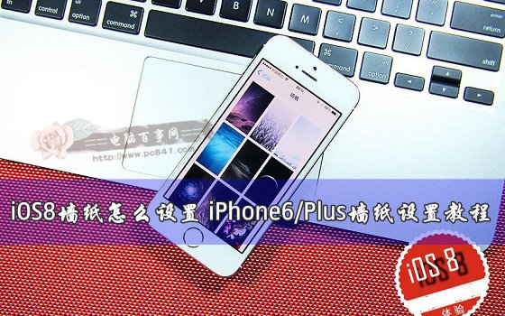 iPhone6/Plus的iOS8系统要怎么设置墙纸？1