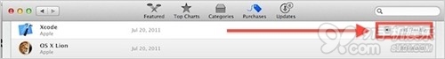 怎么隐藏iOS/OS X的iTunes App Store购买项目2