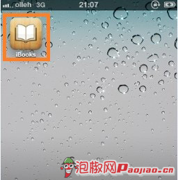 iPhone小说阅读软件ibooks怎么用11