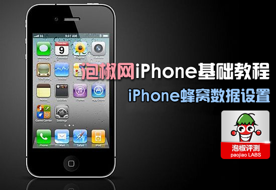 iPhone蜂窝数据设置教程 怎么设置iPhone蜂窝数据1