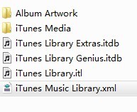 itunes store打不开怎么办4