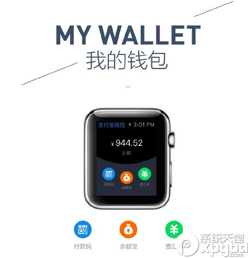 支付宝钱包apple watch版使用教程2