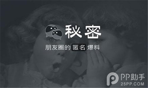 戴上面具隐藏身份:秘密评测1