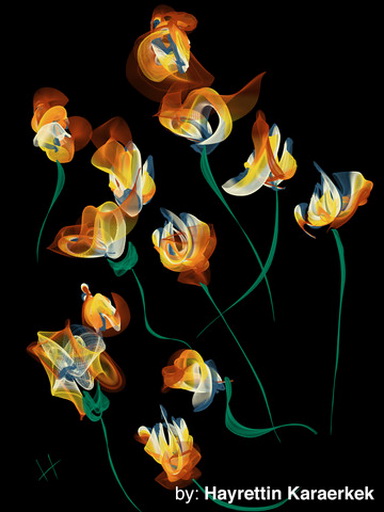 流线条的唯美艺术画“Flowpaper”评测6