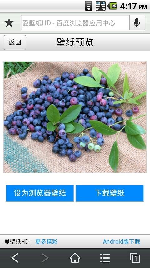 百度手机浏览器2.1：开启精装首页时代5