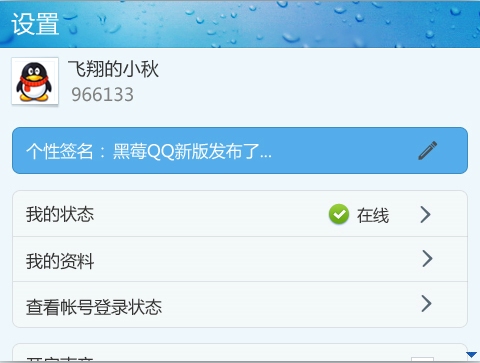手机QQ1.0(黑莓)Beta1发布：全新的UI设计3