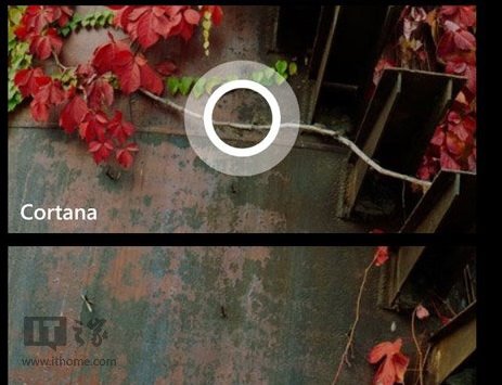 如何开启WP8.1语音助手Cortana神秘彩蛋1