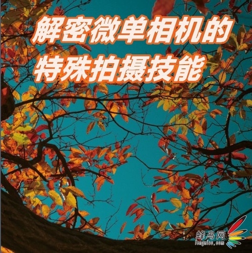 单反不够微单来凑 玩转独门技也能拍好片1