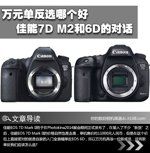 佳能7D2和6D如何选1