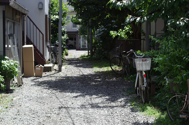 宾得DA 50mm f/1.8镜头试用3