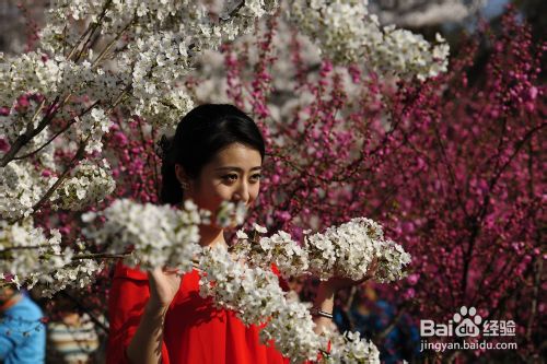 数码单反相机拍摄入门技巧心得之二：力求画面简洁3