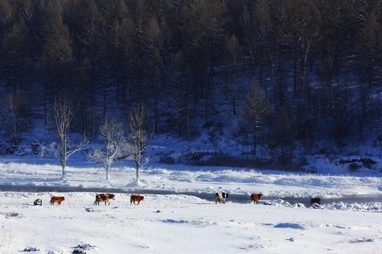 雪景拍摄攻略5