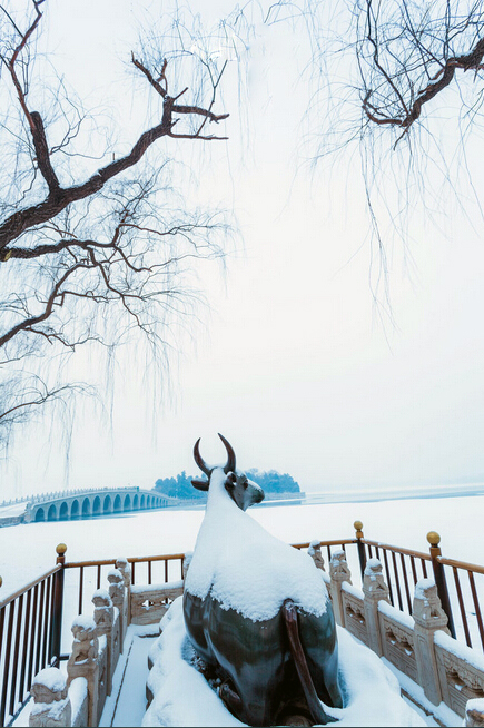 三招教你快速学会拍雪景3