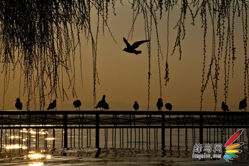 旅行照片怎么拍5