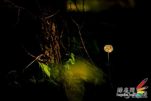 旅行照片怎么拍4