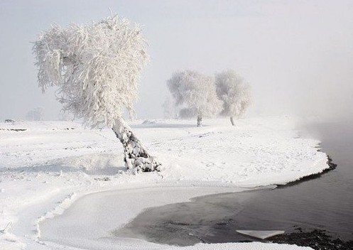 浓雾雪景有什么拍摄技法？2