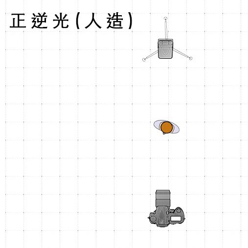 逆光补光基础用光大作战15