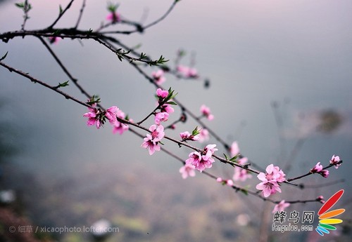 摄影学习的常见问题解答2