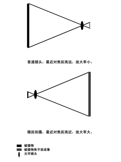 全新视角学习微距摄影5