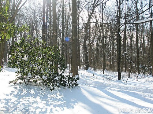 教你拍雪景如何正确曝光3