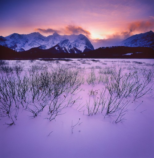 如何拍好茫茫雪原景色？6