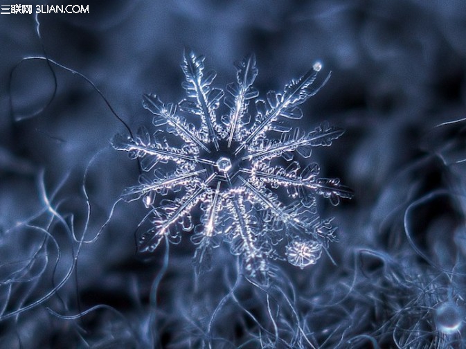 微距雪花如何拍?11