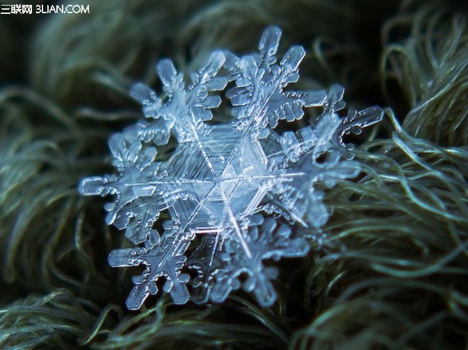 微距雪花如何拍?10