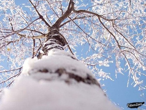 学习各种冰雪景观的拍摄技术5