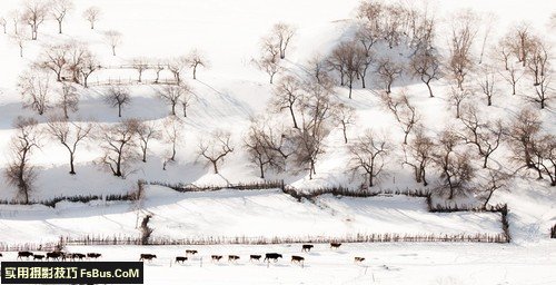 雪天怎么拍风景类作品3