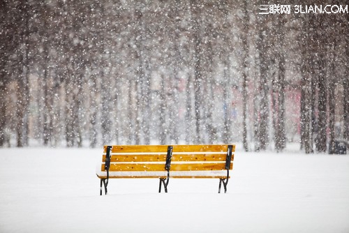 教你如何在雪天拍摄4