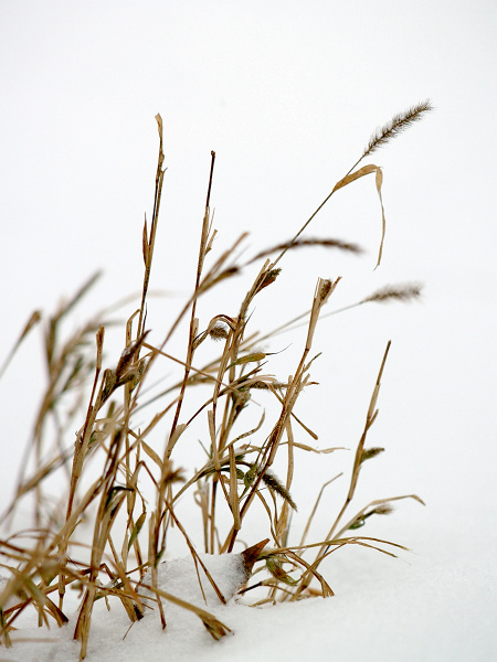 冬季城市雪景拍摄技巧与注意事项9