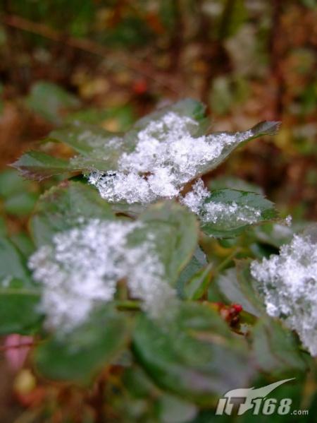 冬季城市雪景拍摄技巧与注意事项3