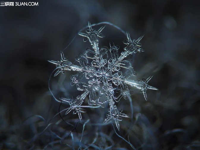 微距雪花如何拍?1