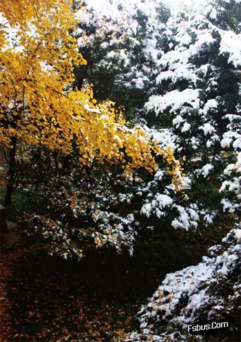 冰雪拍摄实战技法解读10