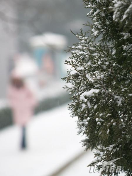 冬季城市雪景拍摄技巧与注意事项1