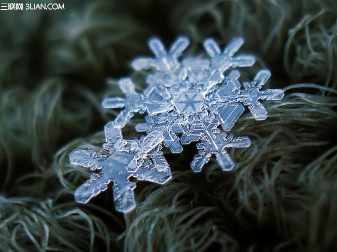 微距雪花如何拍?9