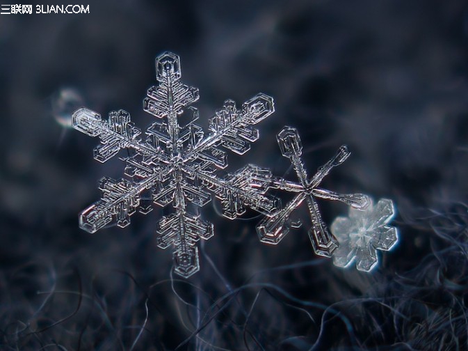 微距雪花如何拍?7