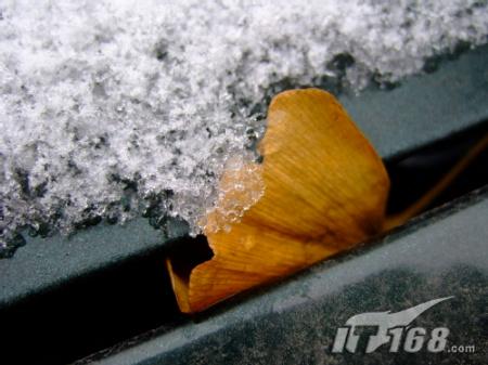 冬季城市雪景拍摄技巧与注意事项7