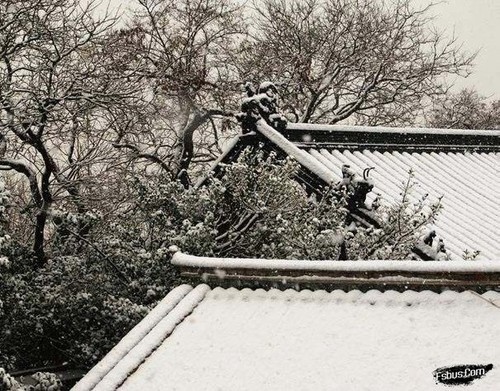 学习各种冰雪景观的拍摄技术6