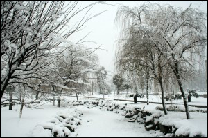 实用雪景摄影技巧2