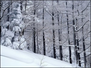 实用雪景摄影技巧4