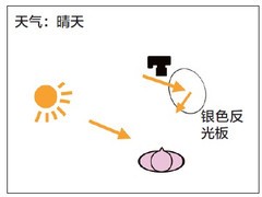 拍摄户外美媚反光板使用技巧6