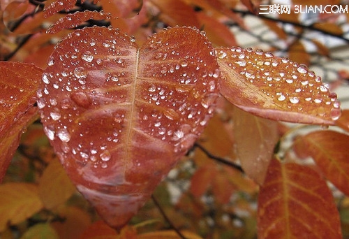 下雨天拍摄的技巧28